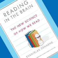 Reading in the Brain book
